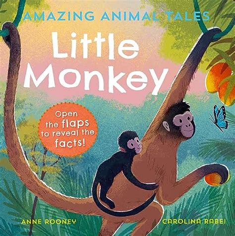 Amazing Animal Tales: Little Monkey - Oxford Owl for Home