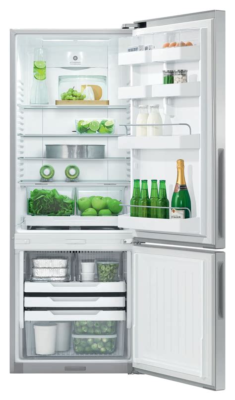 Fisher & Paykel 403L Bottom Mount Stainless Steel Refrigerator ...