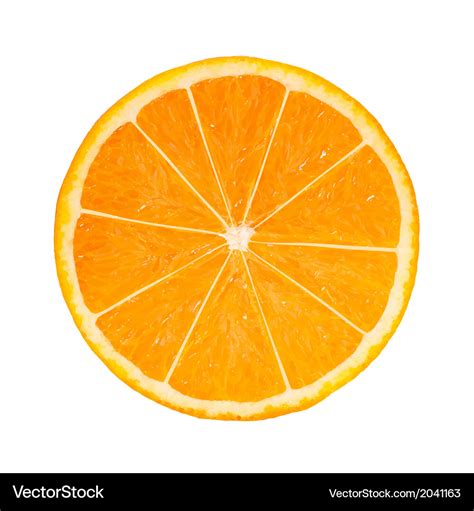 Photo-realistic Orange Slice Royalty Free Vector Image