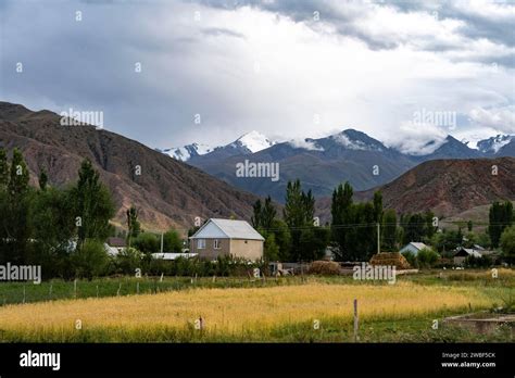 Rural scenery with a village and golden fields in front of cloudy mountains, Kyrgyzstan Stock ...