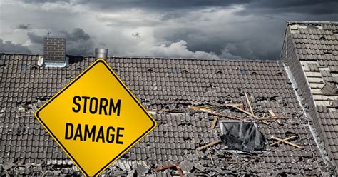 The Top 5 Types of Storm Damage in Florida and How to Identify Them ...