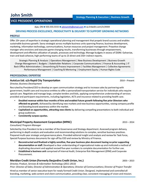 2024 VP of Operations Resume Examples [+Guide]