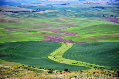 The Palouse in spring II | Reiner's Travel Photography