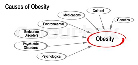 Causes of Obesity | Stock image | Colourbox