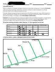 Section 4 Cladistics 2 Worksheet.pdf - Ariana Borland Name: Date: Hour: CLADOGRAM ANALYSIS What ...