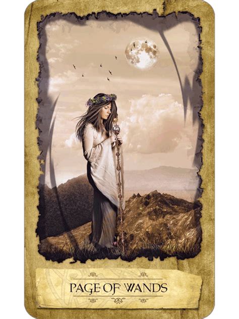 Mystic Dreamer Tarot– DragonSpace Gift Shop