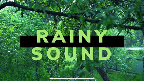 RAINY Sounds : Relaxing MUSIC for Sleeping & Studying | Beautiful Piano - YouTube