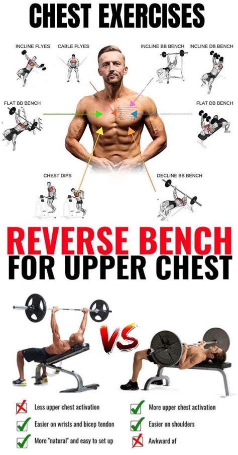 Interested in finding more about increase bench press? Then read on #seatedbenchpress | Bench ...