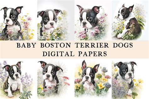 Baby Boston Terrier Dogs Digital Papers Graphic by AnaKaoni · Creative ...