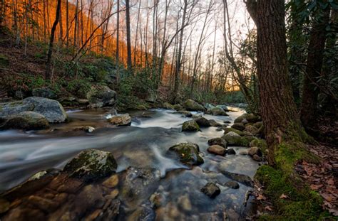 10 South Carolina Hiking Trails | CHStoday | South carolina hiking, South carolina, Hiking trails