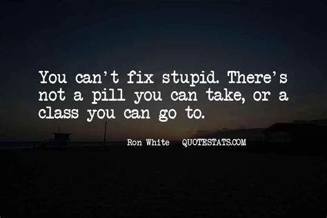 Best You Can't Fix Stupid Quotes 2021 - Etandoz