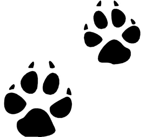 Bear Tracks Vector Free - ClipArt Best