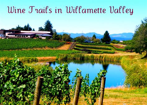 Willamette Valley Wine Festival 2024 - Wilma Juliette