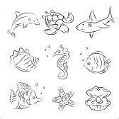 Cartoon sea animal in line art style, black and white | Easy drawings ...