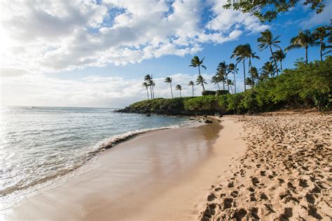 The Best Hawaiian Islands & Hotels for 7 Types of Travelers | Oyster