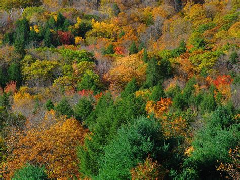 Berkshires Fall Foliage Photograph by Juergen Roth - Fine Art America