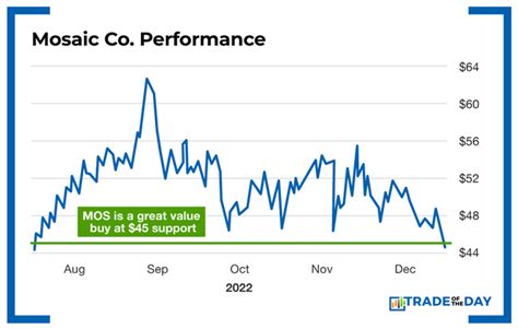 The #1 undervalued stock for 2023 – Profit Alerts