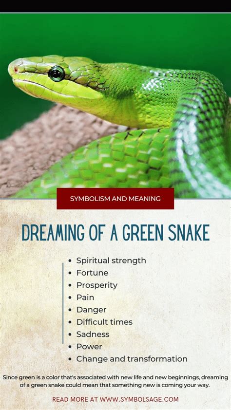 Dreams about Green Snakes – Meaning and Symbolism - Symbol Sage