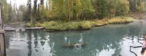 Liard River Hot Springs - Alcan Highway Canada - TravelSages