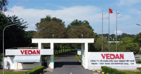 Food seasoning firm Vedan records 2022 sales of $195 mln in Vietnam