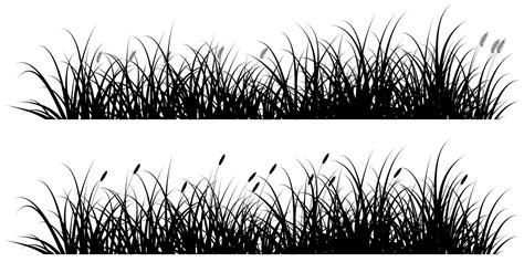 vector black reeds grass silhouette for background or banner 6758349 ...