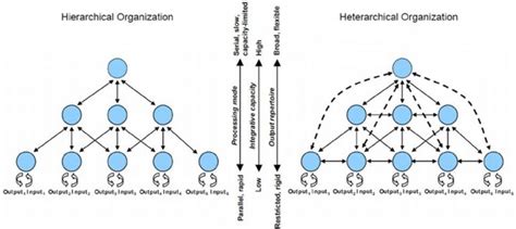 Is heterarchy the answer to the crisis of hierarchy? - IPMA ...