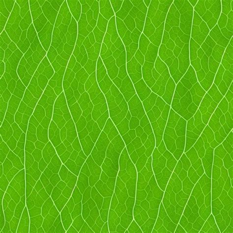 Premium Photo | Seamless texture and structure of green leaf Digital art