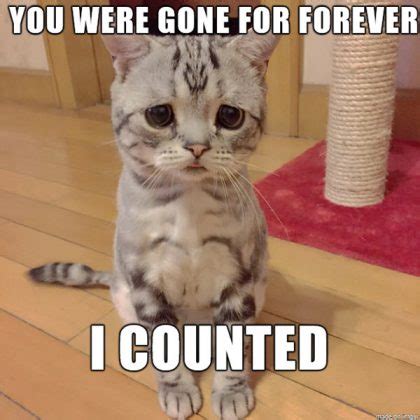 60 Cutest I Miss You Memes Of All Time - SayingImages.com