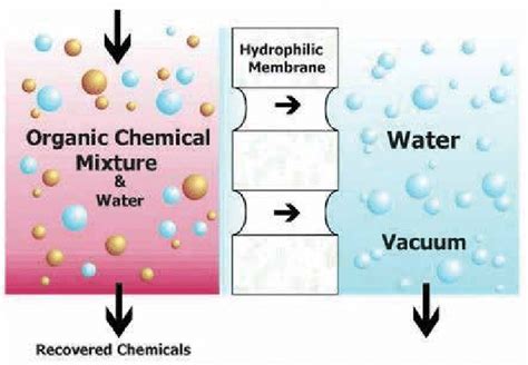 The schematic diagram of membrane pervaporation. | Download Scientific Diagram