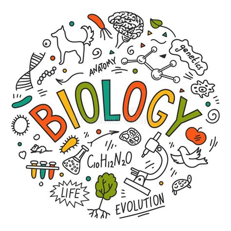 Biology. Hand Drawn Doodles with Lettering Stock Vector - Illustration ...