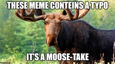 moose Memes & GIFs - Imgflip