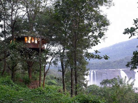 Top Best 5 Wayanad Kerala Tree House Resort | Kerala Treehouse