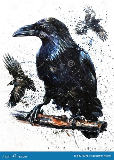 Raven Watercolor Painting Stock Photo | CartoonDealer.com #87491250