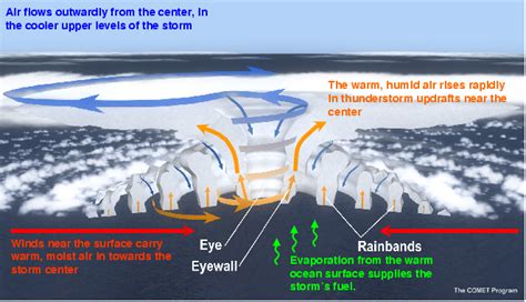 Hurricane Structure Diagram