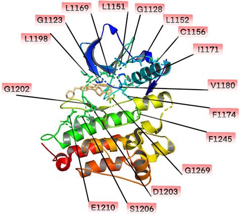 Frontiers | The Resistance Mechanisms and Treatment Strategies for ALK-Rearranged Non-Small Cell ...