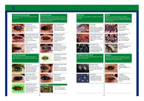 Pest Identification: Pest Identification Chart