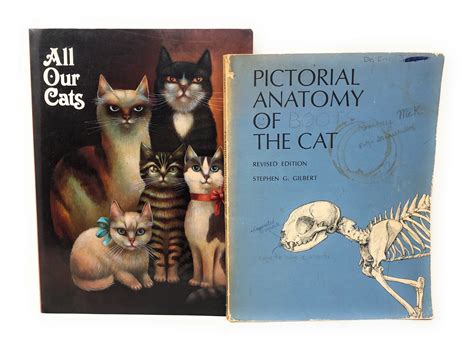 Collection of 15 Vintage Cat Related Books and Ephemera