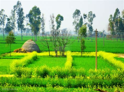 punjab | Village photography, Artistic pictures, Punjab