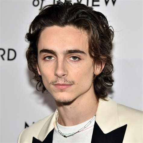 Timothée Chalamet's New Mustache Is Far Too Powerful in 2022 | Timothee chalamet, Good jawline ...