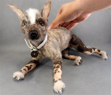 Xoloitzcuintli Puppy | tunersread.com