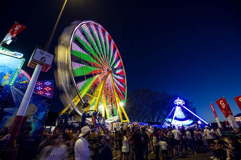 City committee approves debt guarantee for the Calgary Stampede | LiveWire Calgary