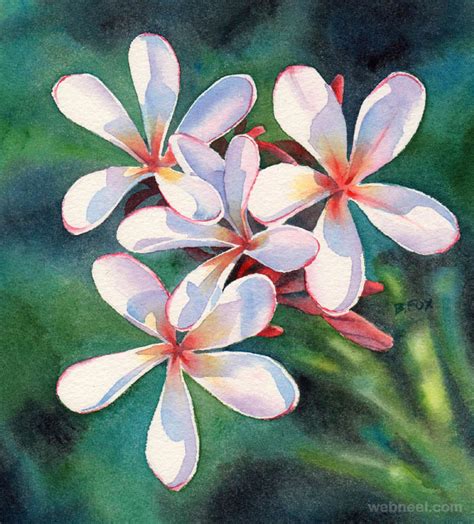 Watercolor Painting Flower By Frangipani 13