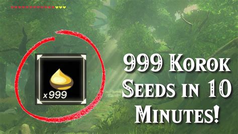 Get 999 Korok Seeds in Under 10 Minutes in Zelda Breath of the Wild! - YouTube