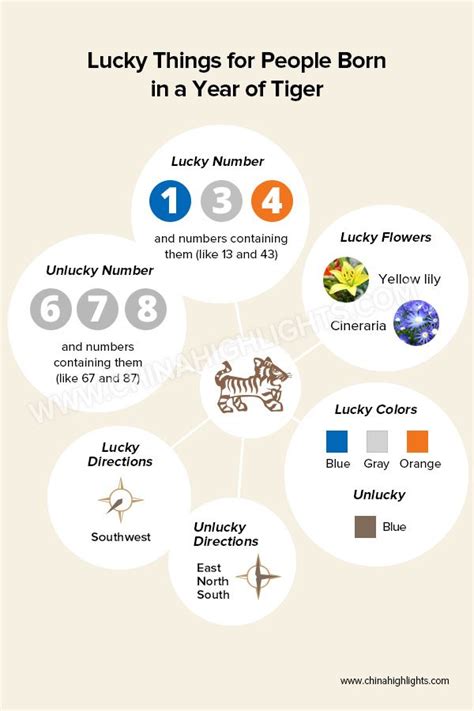 Lucky Things for People Born in a Year of the Tiger in 2021 | Year of the tiger, Chinese zodiac ...