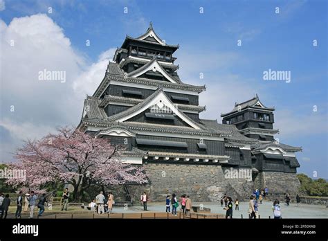 Kumamoto Castle and cherry blossoms Stock Photo - Alamy