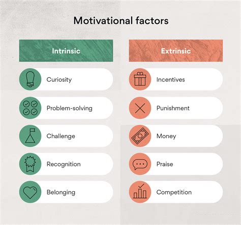 Extrinsic vs intrinsic motivation - ringnsa