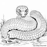 Snake Wyrm Coloring Drawing Clip Huge Vector Outline Svg Publicdomains  sketch template