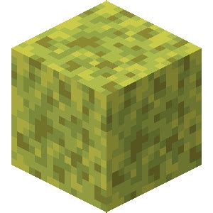 Sponge – Minecraft Wiki