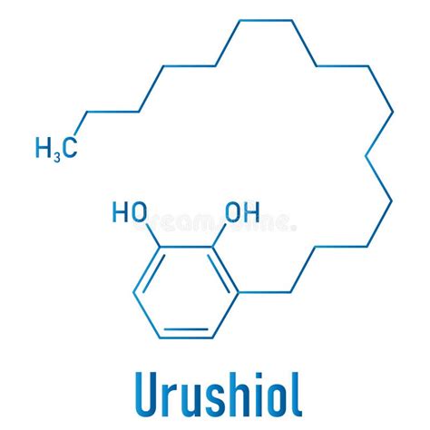 Urushiol Poison Ivy Allergen Molecule. Skeletal Formula. Stock Vector ...