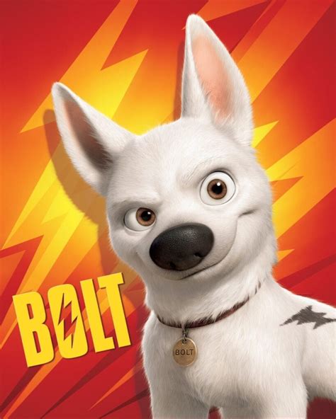 What Dog Breed is Bolt from the Movie? About Disney's White Shepherd ...